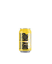 5410702001444 Saison Dupont Dry Hop Flasche 33cl